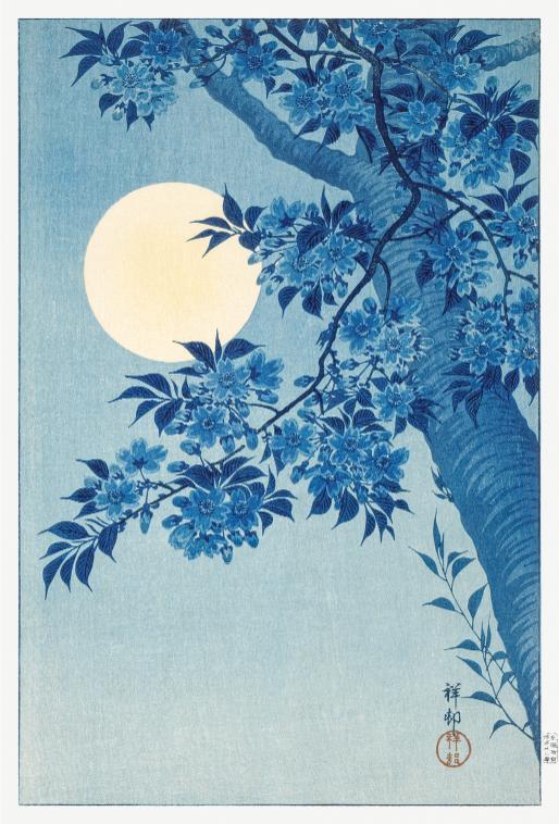 Moon and Cherry Blossom
