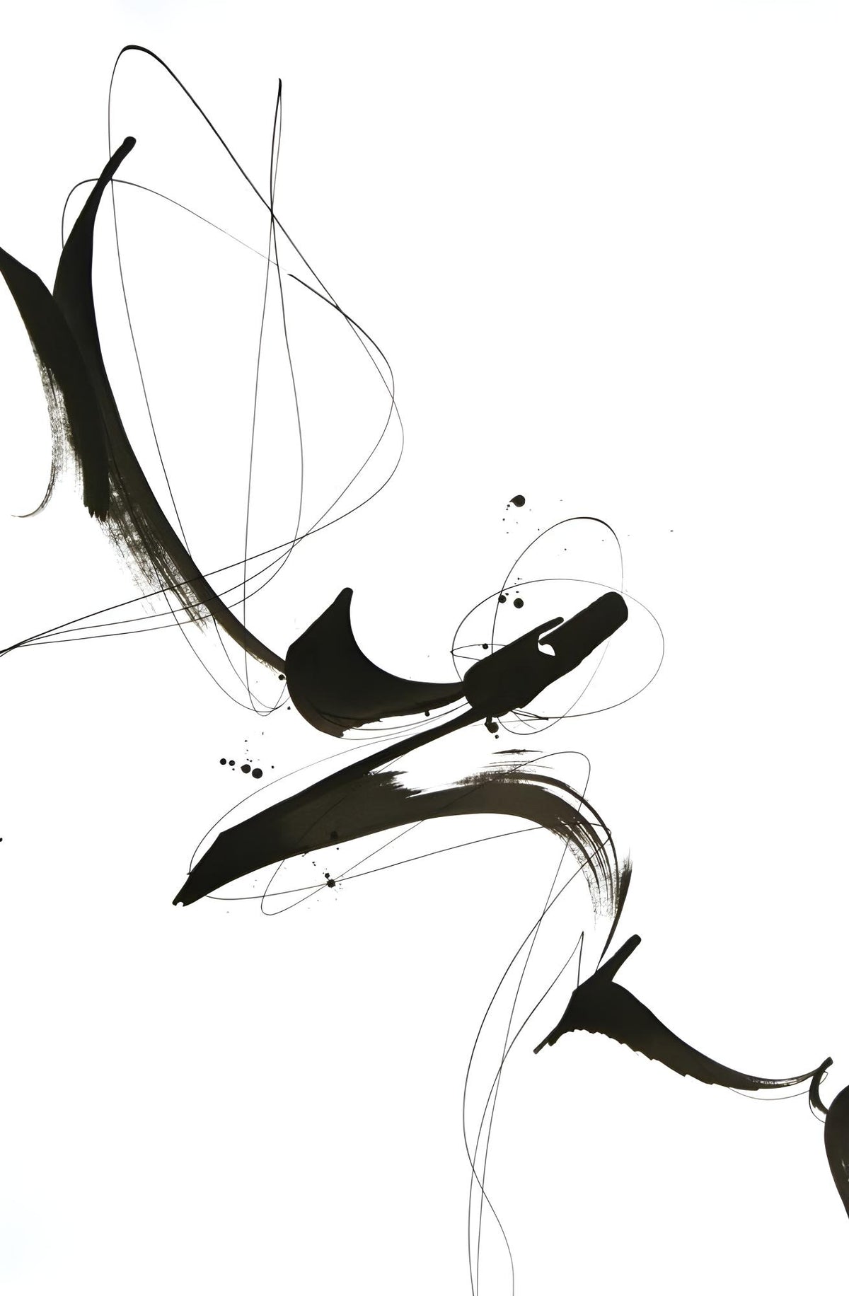 Calligraphic Flourish