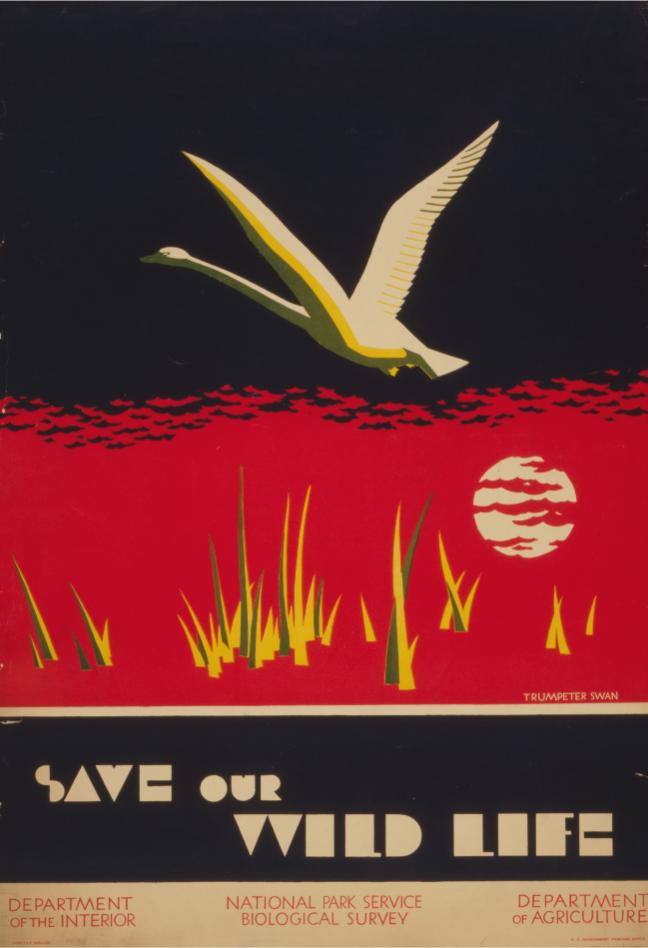Red onze wilde zwanen