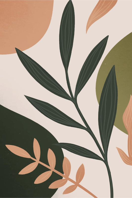 Olive Branch Study