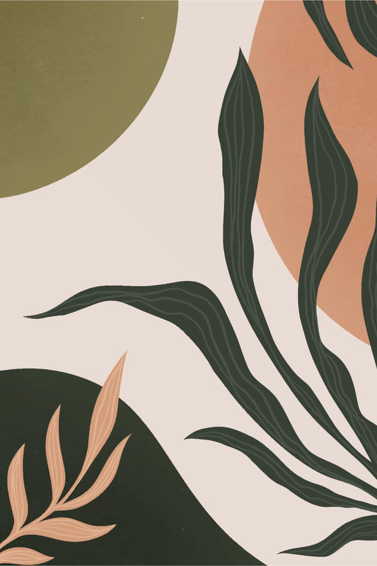 Olive Leaf Study