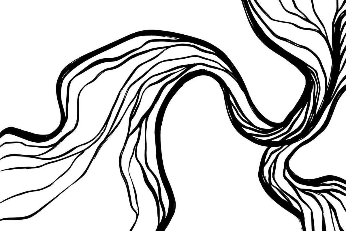 Flowing Line Sketch