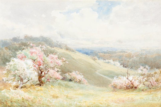 Blossom Hills Watercolor