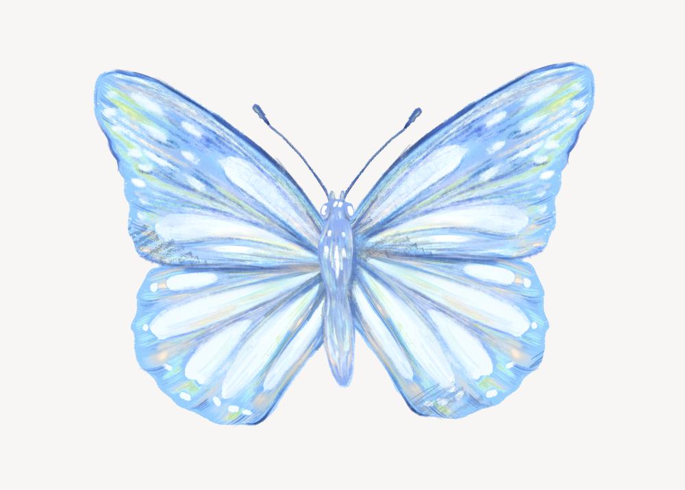 Blue Butterfly Botanical