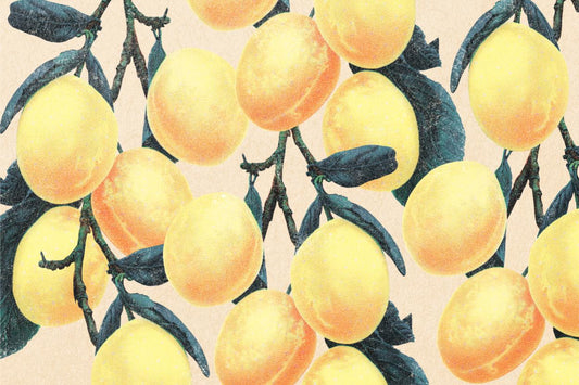 Lemon Branch
