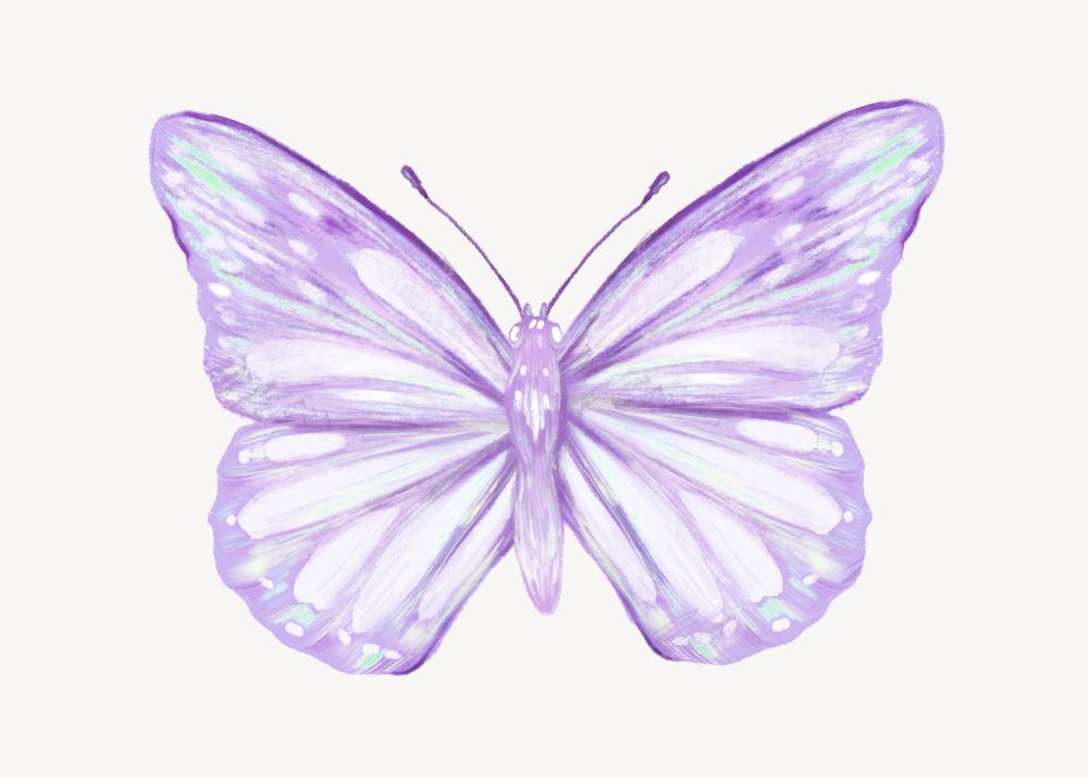 Lilac Butterfly