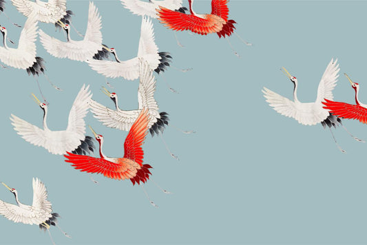 Crane Flight on Blue