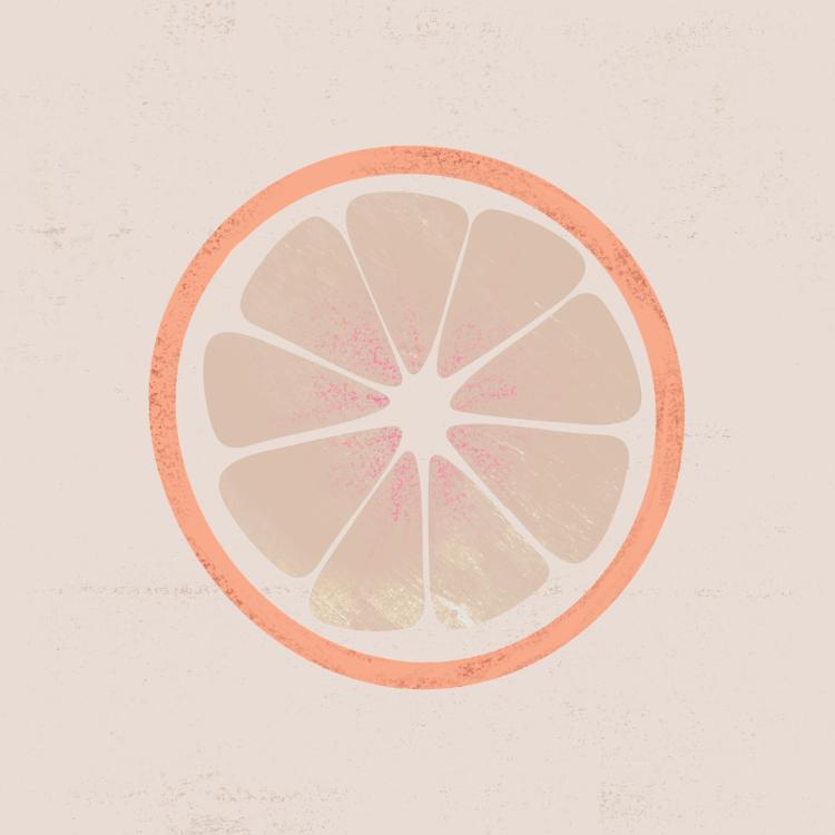 Grapefruit Slice