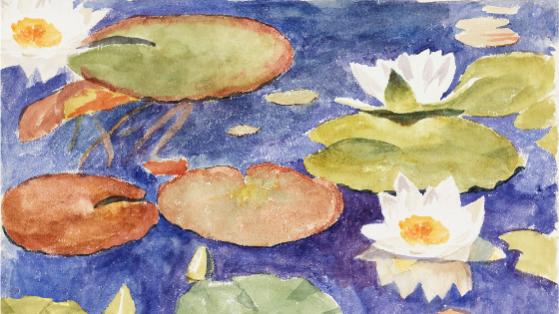 Water Lily Pond