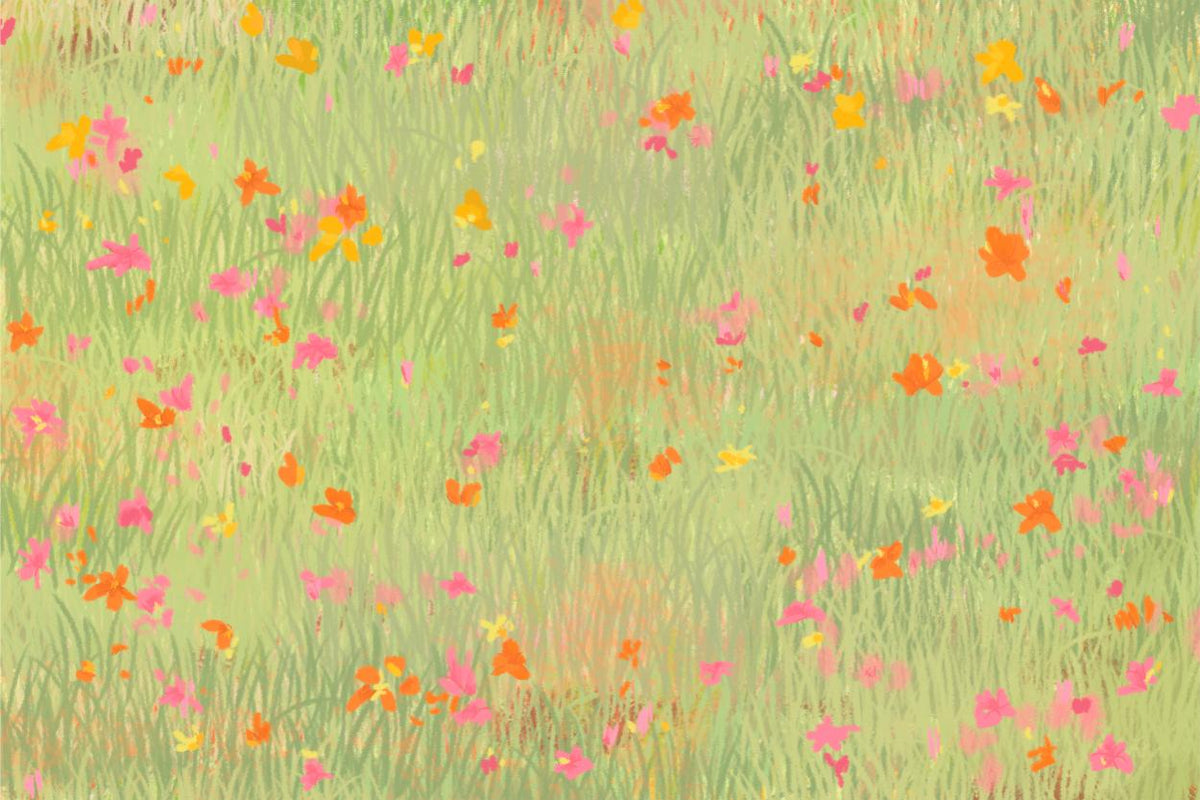 Wildflower Meadow