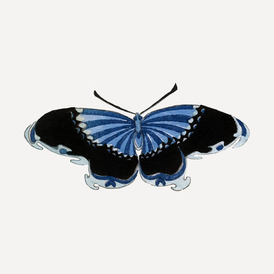 Blue Swallowtail Butterfly