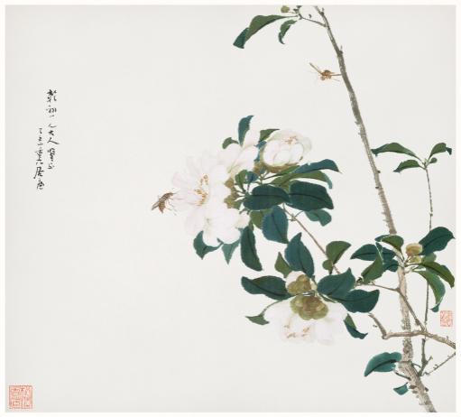 Camellia Ink Painting