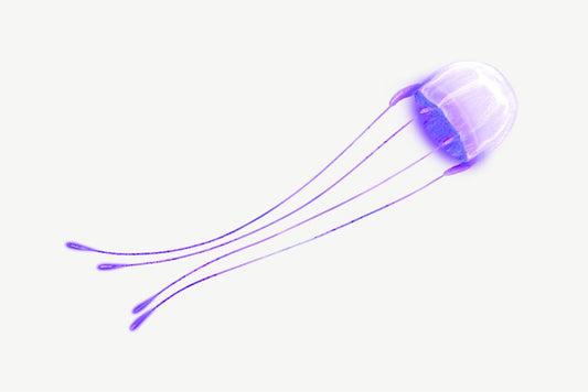 Purple Jellyfish