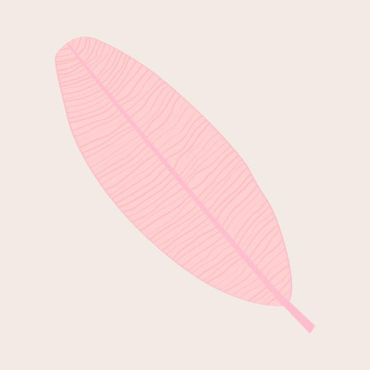 Pink Feather Leaf