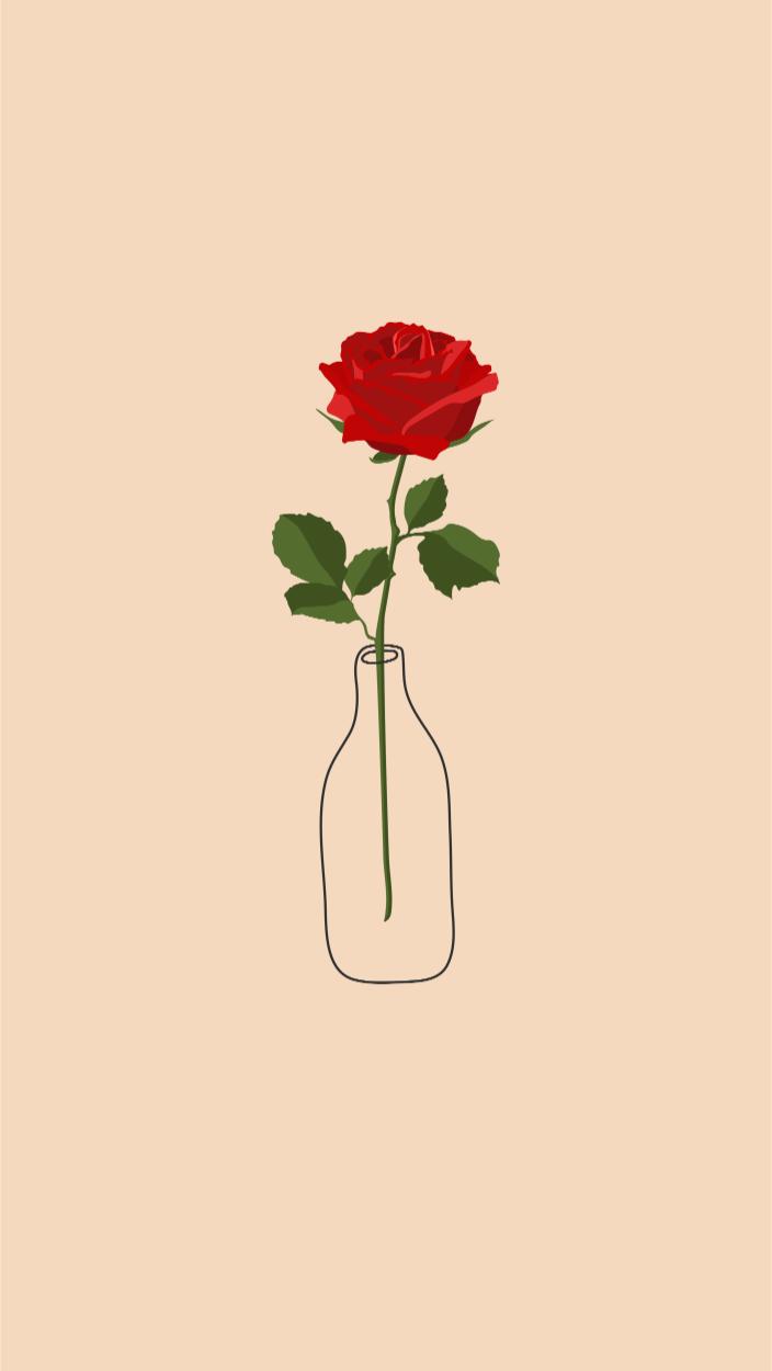 Single Red Rose