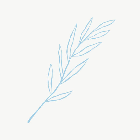 Pale Blue Leaf Line Art