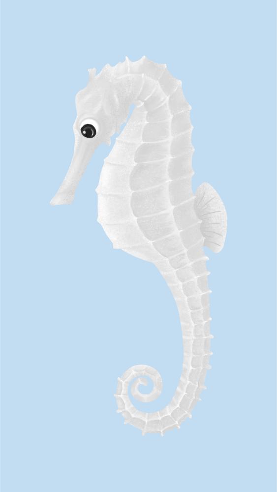 White Seahorse on Sky Blue
