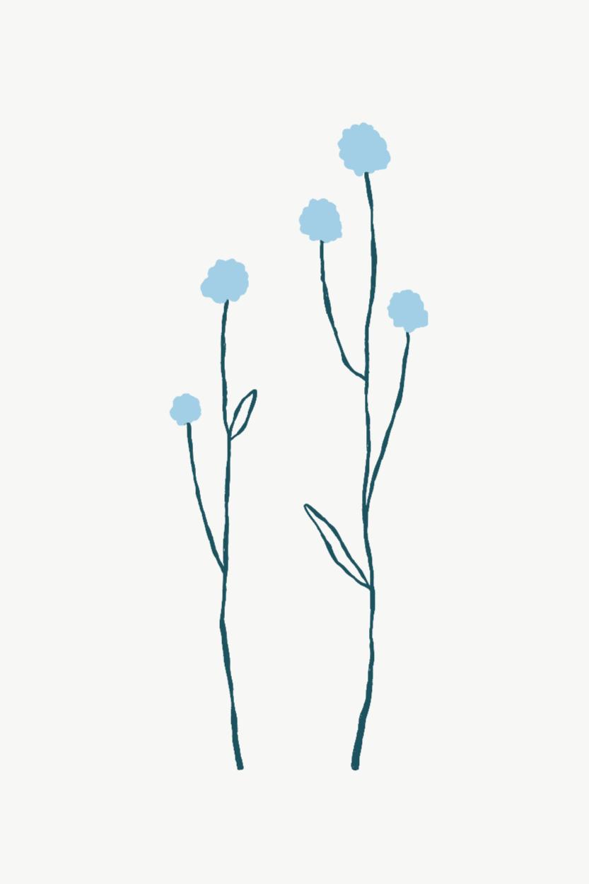 Blue Pom-Pom Stems