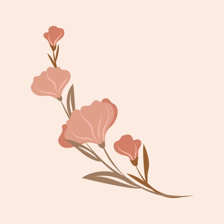 Peach Blossom Stem