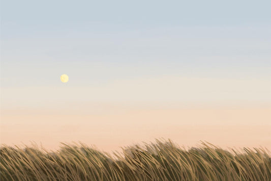 Meadow at Dusk