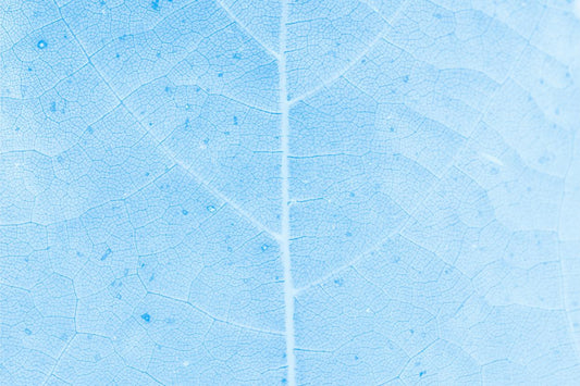 Blue Leaf Veins