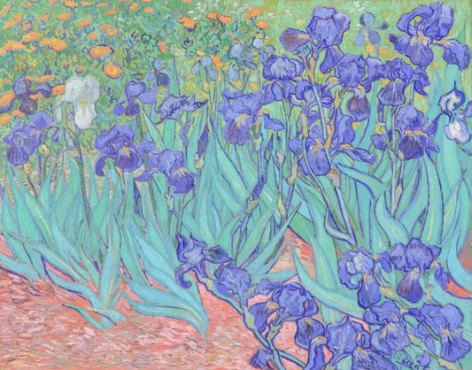 Irises in Teal