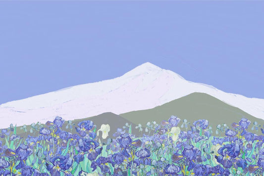 Iris Meadow and Snowy Peak