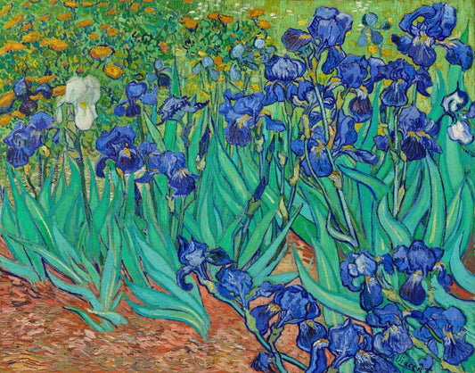 Irises in the Garden