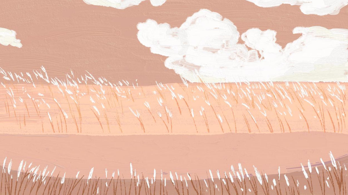 Peach Wheat Field Sky