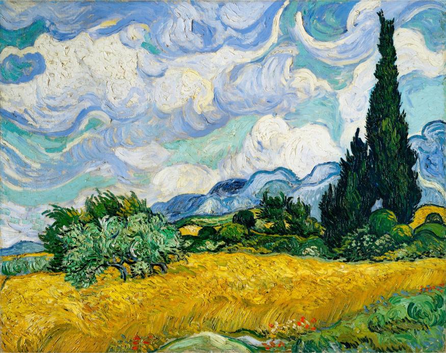 Cypress and Wheat Field