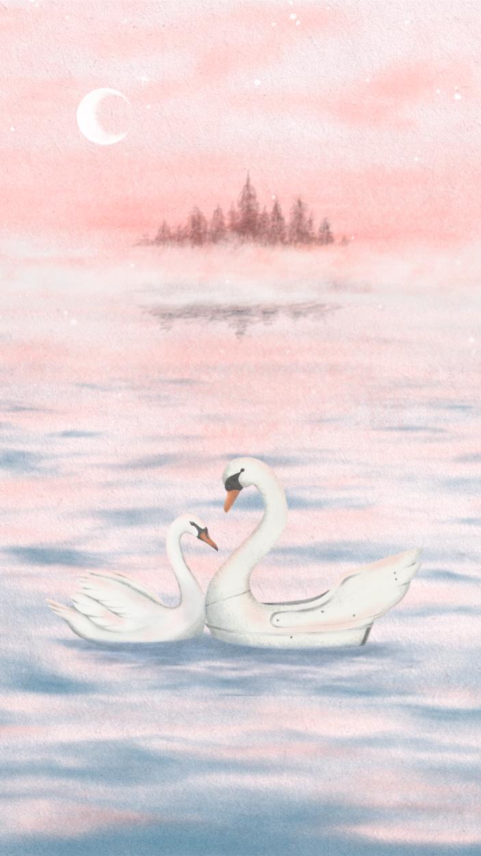 Swans at Dusk