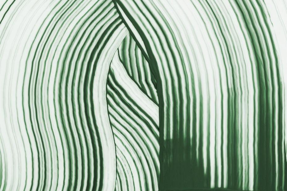 Green Leaf Lines