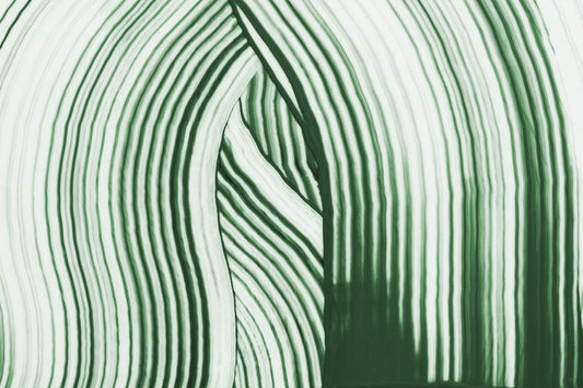 Green Leaf Lines