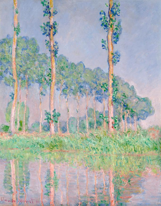Poplars in Spring