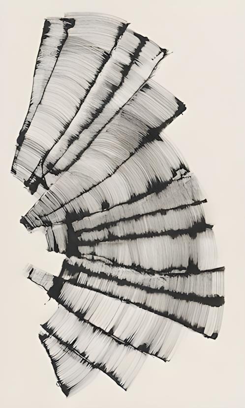 Fan of Brush Strokes