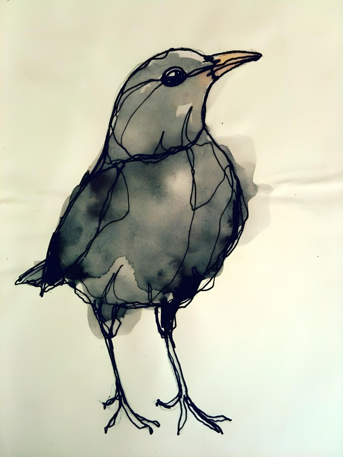 Blackbird Sketch
