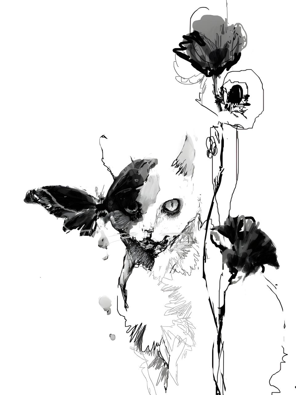 Cat and Poppies