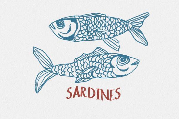 Sardines Illustration Print