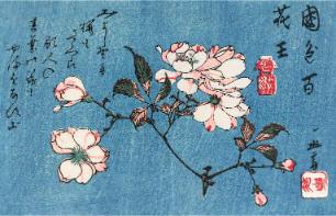 Cherry Blossom Japanese Print
