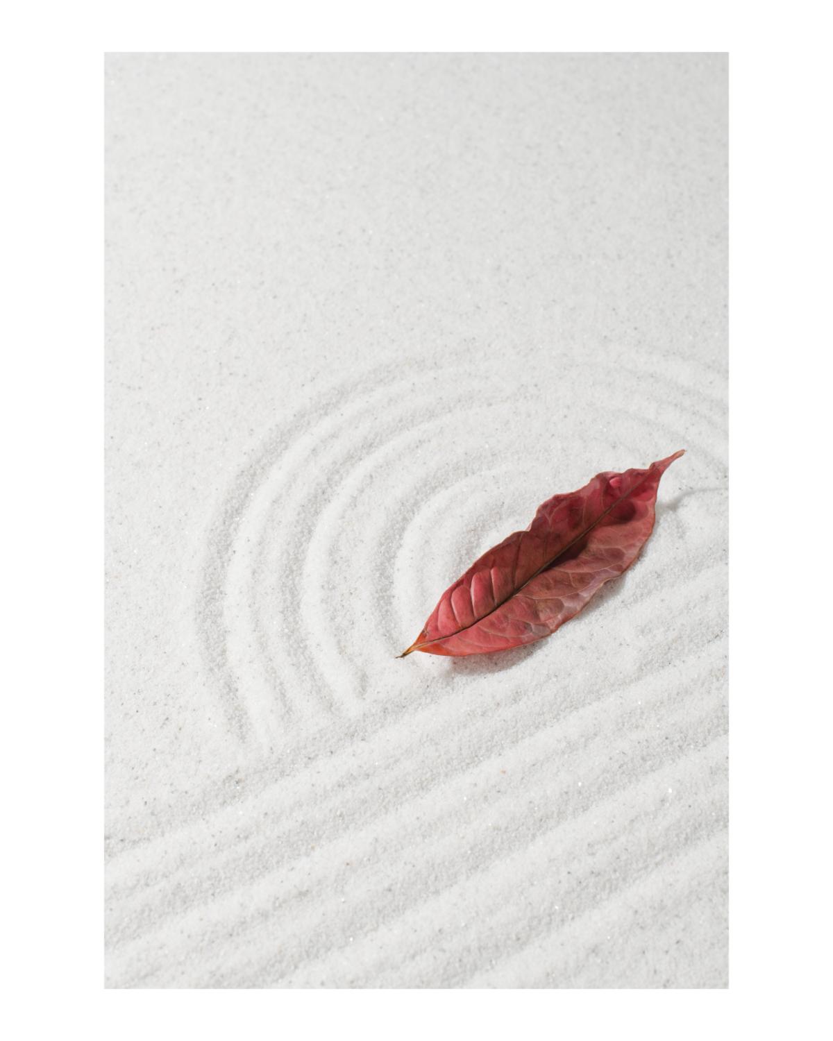 Red Leaf Zen Garden