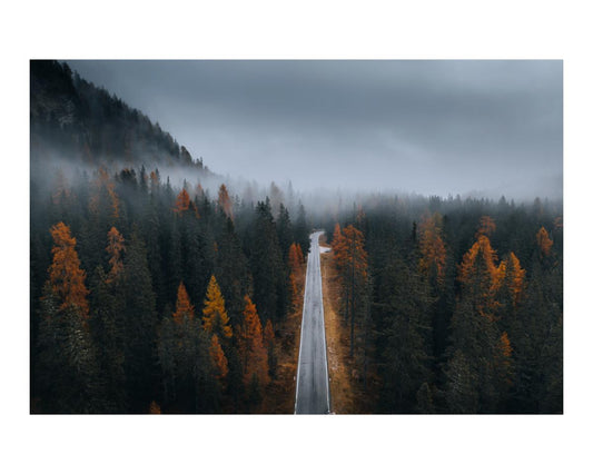 Misty Autumn Forest Road