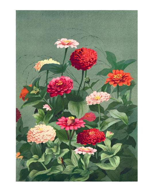 Zinnia Garden