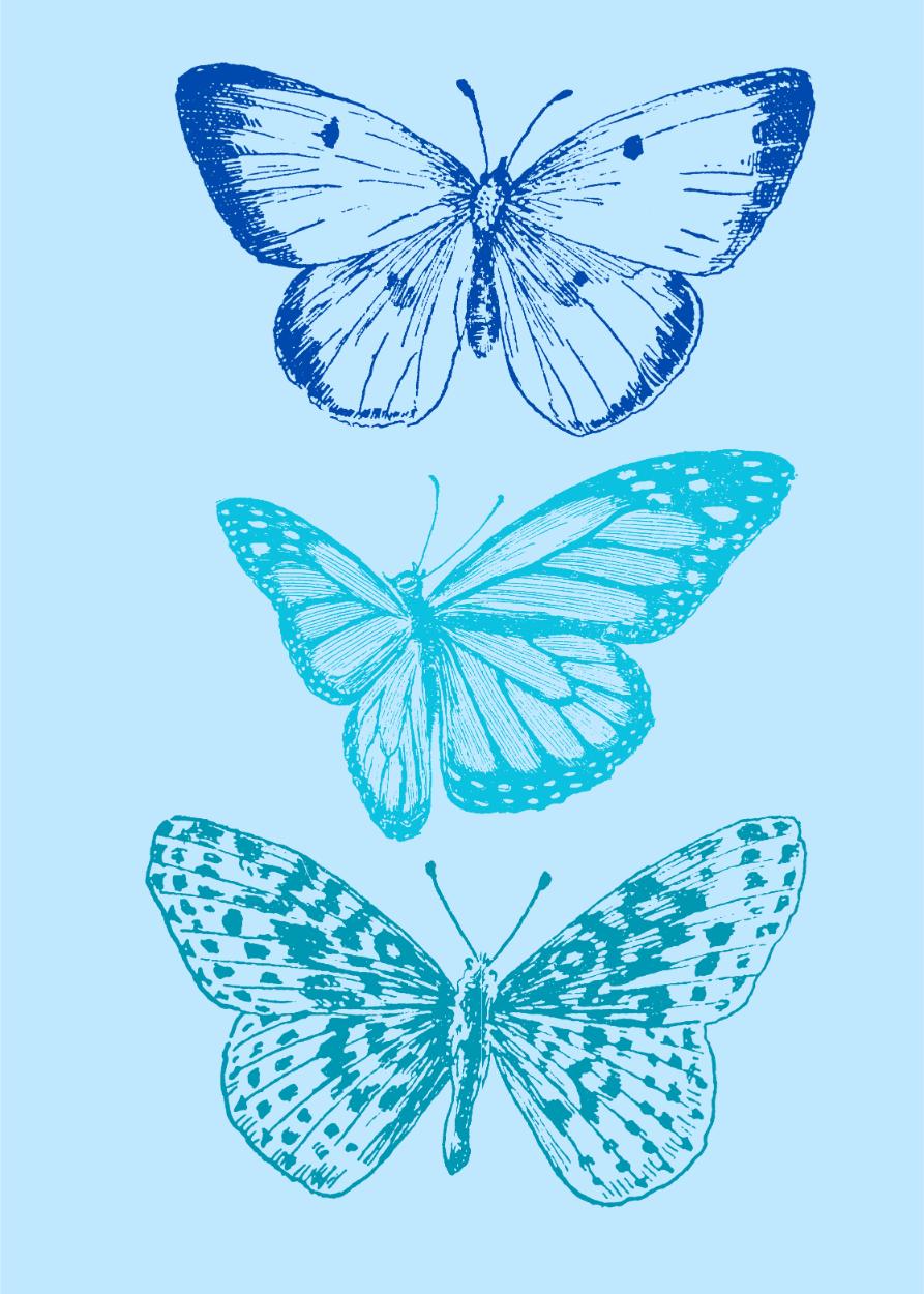 Blue Butterflies