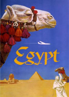 Egypt Camel Portrait