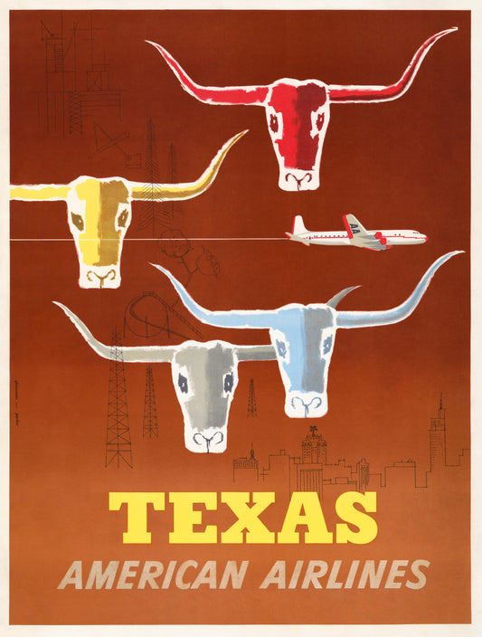 Texas American Airlines