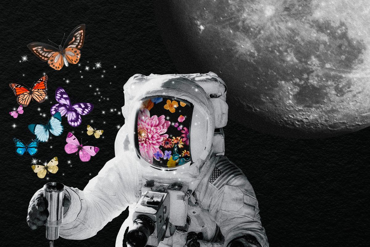Butterflies in a Jar