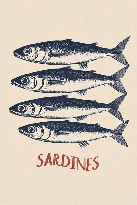 Sardines in Navy