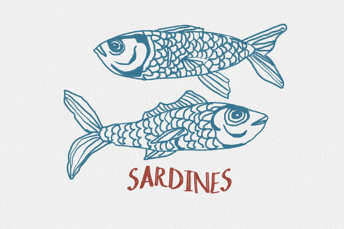 Sardines Duo