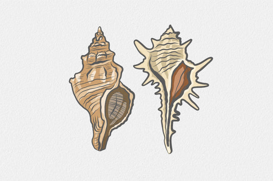 Twin Conch Shells