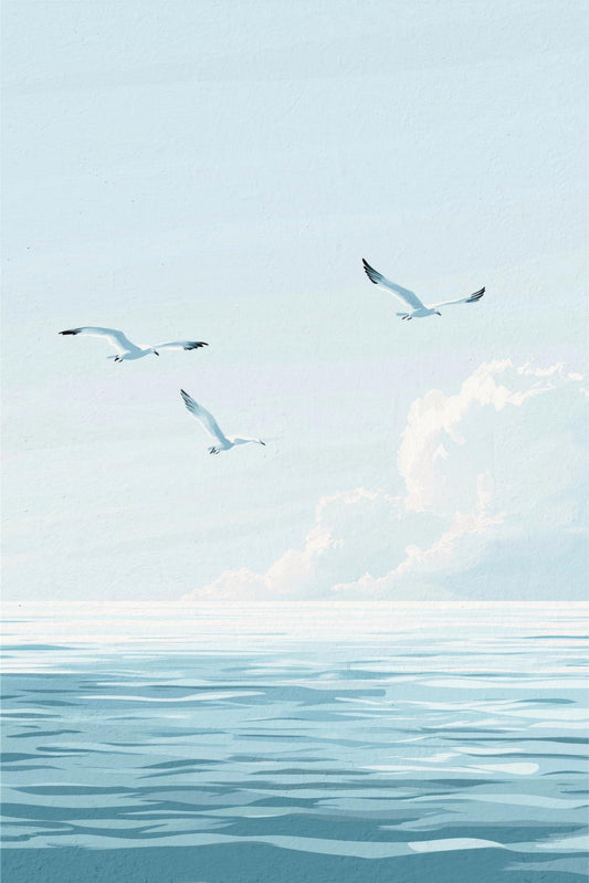Seagulls over the Sea